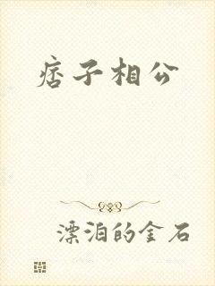 痞子相公