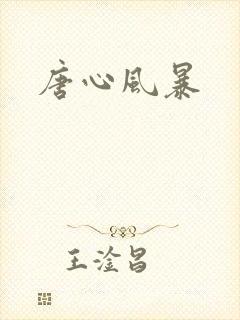 唐心风暴