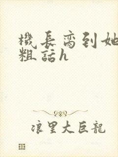 机长脔到她哭h粗话h