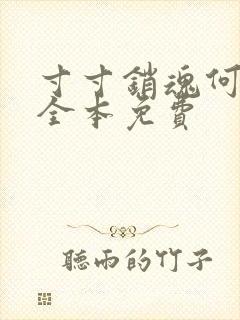 寸寸销魂何生祥全本免费