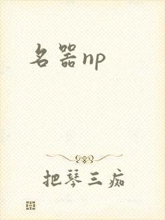 名器np