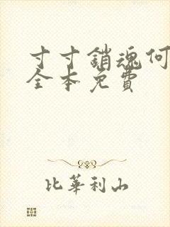 寸寸销魂何生祥全本免费