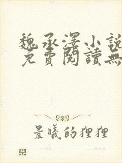 魏承泽小说全文免费阅读无弹窗笔趣