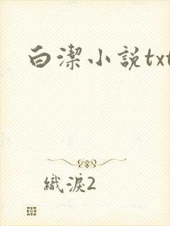 白洁小说txt