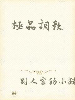 极品调教封面