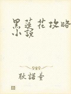 黑莲花攻略手册小说