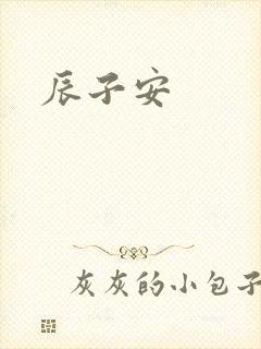 辰子安封面