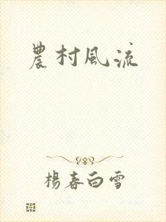农村风流