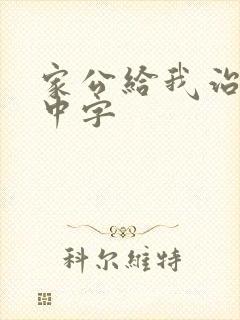 家公给我治疗5中字