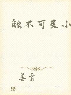 触不可及小说