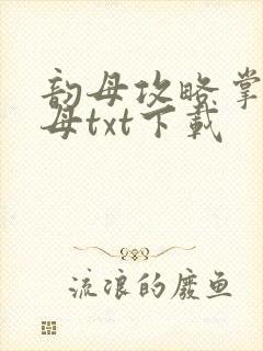 韵母攻略掌中美母txt下载