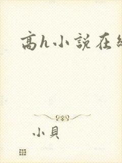 高h小说在线看