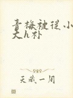 青梅被从小摸到大h补