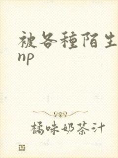 被各种陌生人 np封面