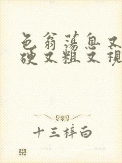 色翁荡息又大又硬又粗又视频图片