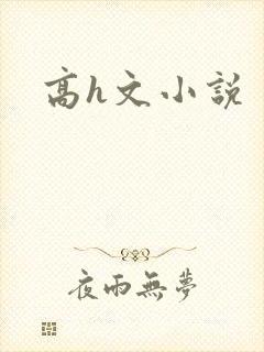高h文小说