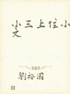 小三上位小说全文封面