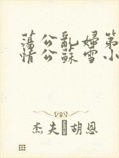 荡公乱妇第1章情公苏雪小说封面