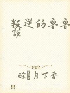 叛逆的鲁鲁修小说