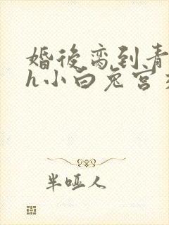 婚后脔到青梅哭h小白兔宫交h
