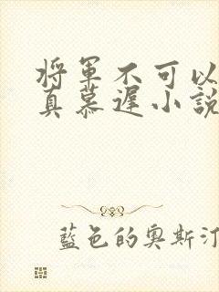 将军不可以魏云真慕迟小说笔趣阁