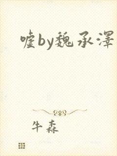 嘘by魏承泽封面