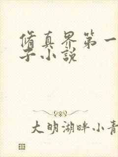 修真界第一病秧子小说封面