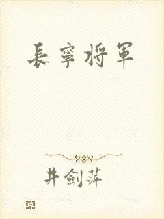 长宁将军封面