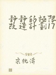 静静的极限自我改造计划17