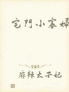 宅门小寡妇封面