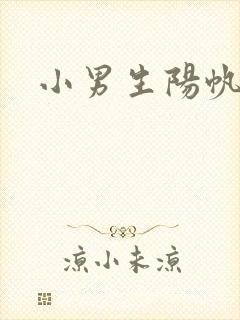 小男生阳帆