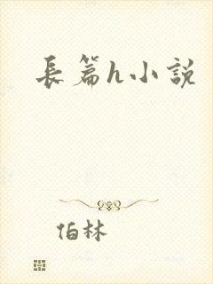 长篇h小说