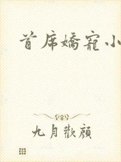 首席娇宠小情人