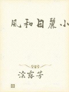 风和日丽小说