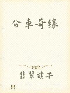 公车奇缘封面