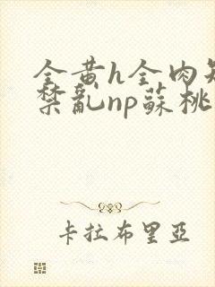 全黄h全肉短篇禁乱np苏桃