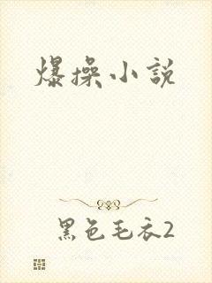 爆操小说