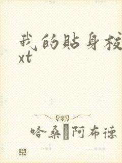 我的贴身校花txt