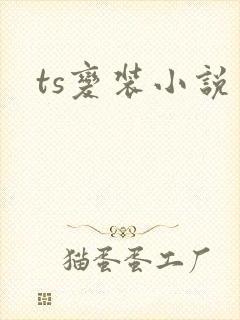 ts变装小说
