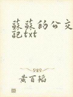 苏苏的公交车日记txt