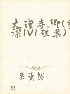 大理寺.卿(双洁1V1破案)