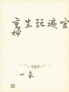重生玩遍官场贵妇