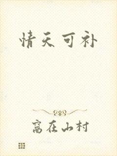 情天可补
