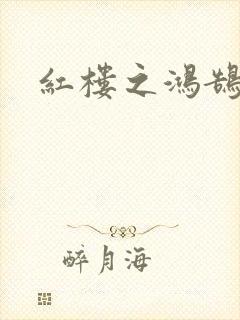 红楼之鸿鹄