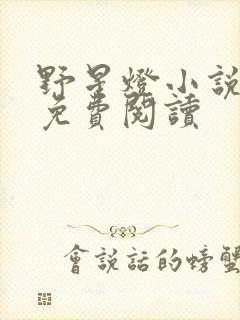 野星灯小说全文免费阅读