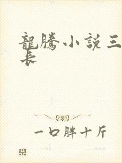 龙腾小说三宝局长