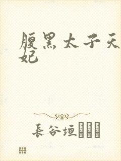 腹黑太子天降萌妃