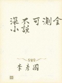 深不可测金银花小说