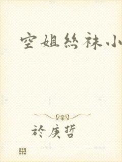 空姐丝袜小说