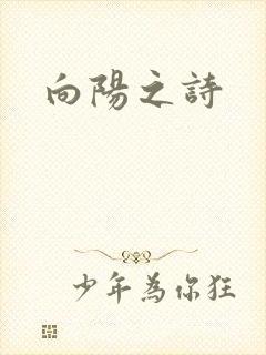 向阳之诗封面